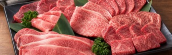 購入相談案内